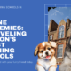 Canine Academies: Unveiling the Top Dog Training Schools in London